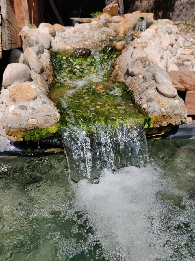 Appartamento L'Etang Des Cigales Uchaux Esterno foto