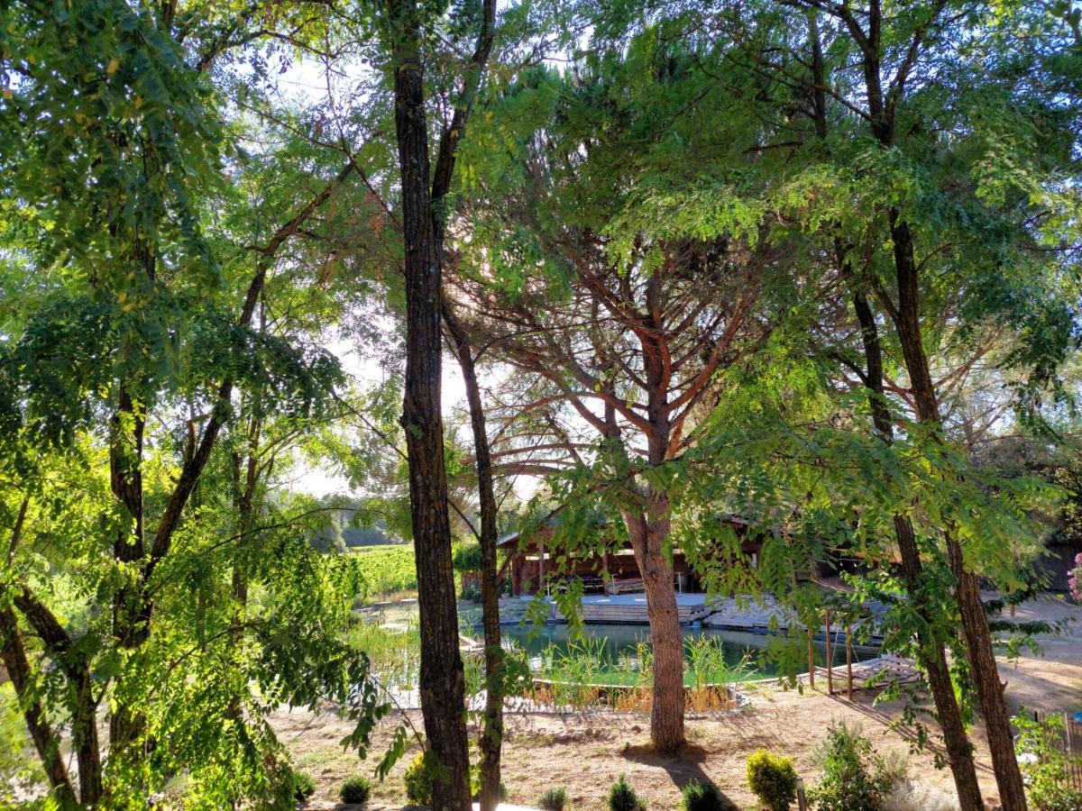 Appartamento L'Etang Des Cigales Uchaux Esterno foto