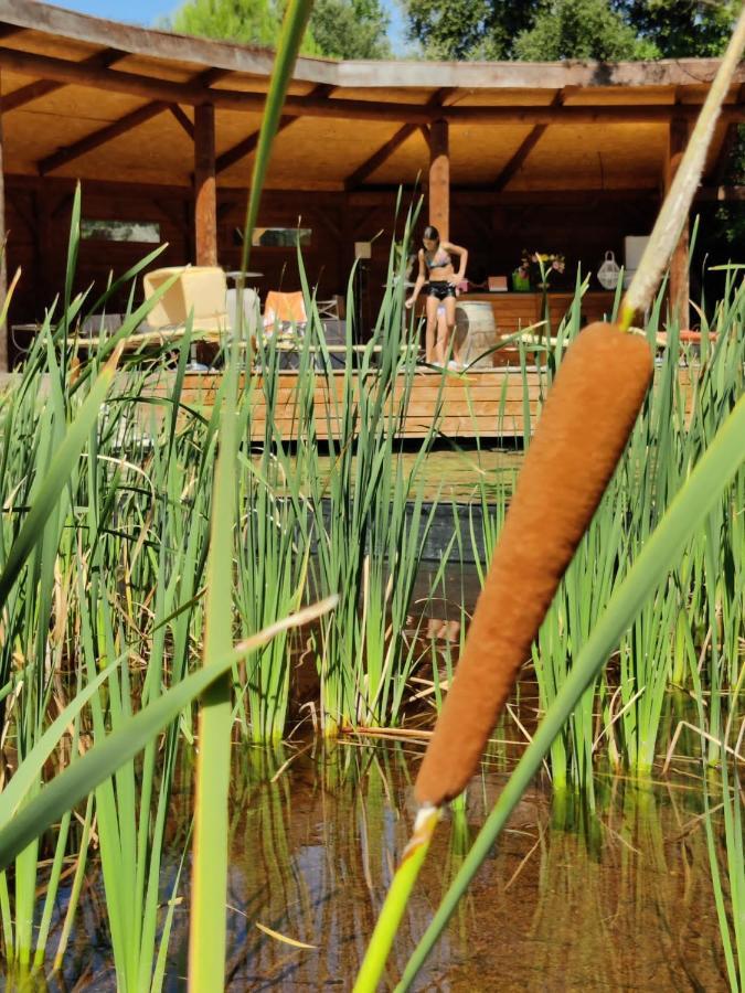 Appartamento L'Etang Des Cigales Uchaux Esterno foto