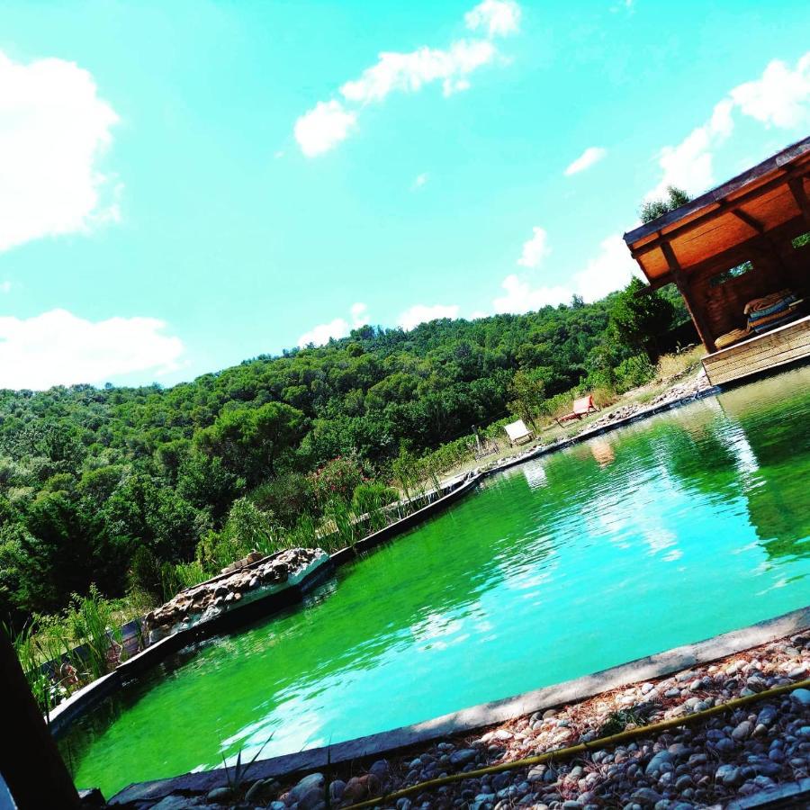 Appartamento L'Etang Des Cigales Uchaux Esterno foto
