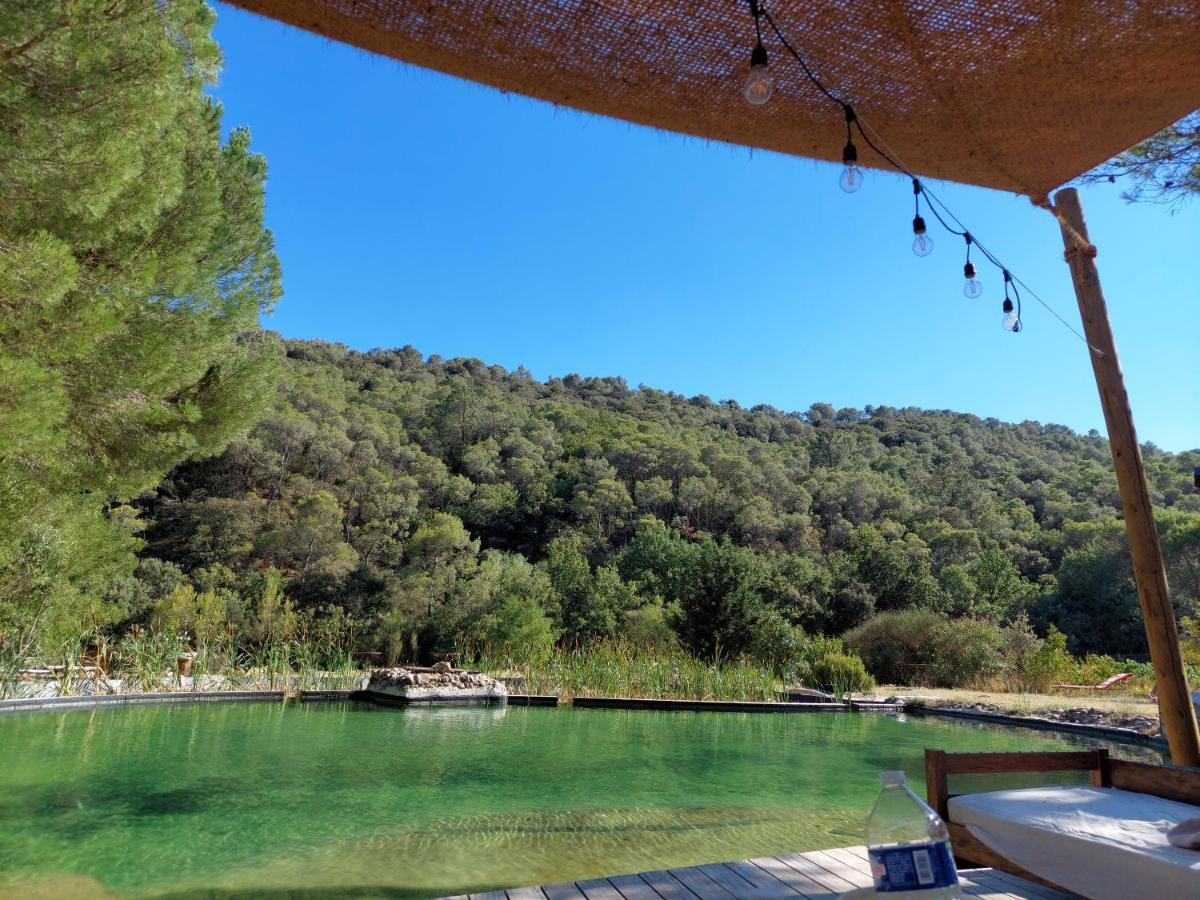 Appartamento L'Etang Des Cigales Uchaux Esterno foto